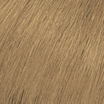 Plaukų dažai Matrix SoColor Pre-Bonded Permanent 9A, 90 ml