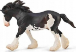 Collecta