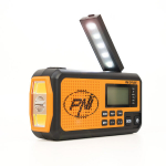 PNI DYN300