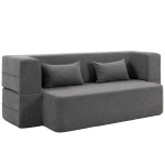 Dvivietė putų mink&scaron;ta sofa-lova su plačiais porankiais, 2 pagalvėlės, keliamoji galia 360 kg, pilka