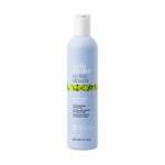 Plaukų &scaron;ampūnas Milkshake No Frizz Allowed Shampoo 300 ml