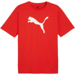 Vyri&scaron;kas mar&scaron;kinėlis Puma Team Rise Logo Jersey Cotton, raudonas, 658705 01