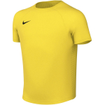Vaiki&scaron;kas mar&scaron;kinėlis Nike Dri-Fit Park VIII, geltonas, HV8182 719