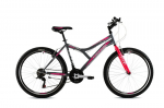 Kalnų dviratis Capriolo Diavolo 600, 26", pilkas/rožinis