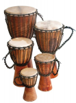 Džembė Terre Beginner