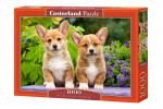 Dėlionė Castorland Puzzle, Welsh Corgi Puppies 1000 d.