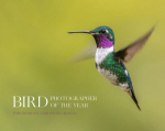 Bird Photographer of the Year Collection 8 edition