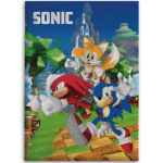 Sonic the Hedgehog Vaiki&scaron;kas pledas 100x140 cm