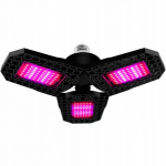 LED Fito lempa augalams ir daigams