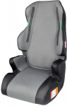 Automobilinė kėdutė Amio 04481, 25-36 kg, grey