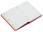 Harry Potter: Alohomora Password Book: A Website and Password užra&scaron;inė Insight Editions