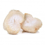Liūtbarzdinis grybas Hericium erinaceus