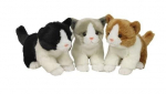 Katės 18cm mi&scaron;inys - Dubi