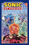 Sonic the Hedgehog T.8. Virusas 2 - Ian Flynn, Tracy Yardley, Adam Bryce Thomas