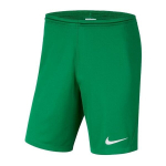 &Scaron;ortai berniukams Nike, žali