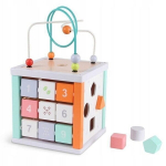 Lavinamasis centras Ecotoys 5 in 1