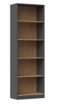 Lentyna R60, ruda