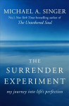 Surrender Experiment: My Journey into Life's Perfection