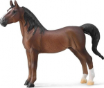 Collecta