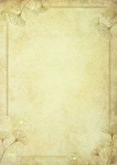 Popierius diplomams GINKGO A4 190g 20lap