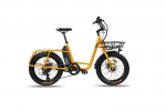 Elektrinis dviratis UCO 20", 250 W