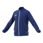 Džemperis vyrams Adidas Entrada 22 Track M HG6287, mėlynas