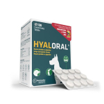 Hyaloral pa&scaron;aro papildas &scaron;unims