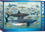 Dėlionė Eurographics, 6000-0079, Sharks, 1000 d.