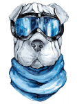 Tapyba pagal skaicius TM Varvikas Shar-Pei ME1110e 30x40 cm