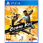 Cobra Kai: The Karate Kid Saga Continues - PlayStation 4
