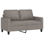 Dvivietė sofa vidaXL, pilka