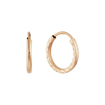 Auksiniai auskarai moterims Brasco 58518 58518