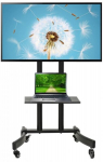 TV laikiklis Maclean MC-739, 32-65''