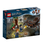 75950 LEGO&reg; Harry Potter Aragogo ir&scaron;tva