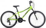 Dviratis Romet Rambler 24 2025 green-graphite