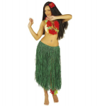 Havajieti&scaron;kas sijonas "Green Color Raffia hula sijonas"