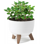 Vazonas Lamela LA797-05, 24cm