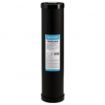 Vandens filtras Ecosoft 4,5"x20"