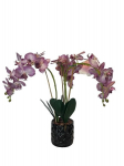 Dirbtinė orchidėja Saulėta Viltis
