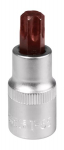 Lizdinė antgalio galvutė Torx T55 1/2"