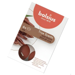 Bolsius kvapnios arbatinės žvakutės, 6 vnt., Oud Woods, iki 4 val.