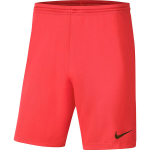 Vyri&scaron;ki &scaron;ortai Nike Dry Park III NB K, koralų spalvos, BV6855 635