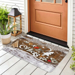 Asir durų kilimėlis PDoormat69 40x70 cm