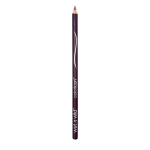 Lūpų kontūro pie&scaron;tukas Wet n Wild Coloricon 1,4 g, Plumberry