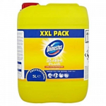 Domestos Proffesional Citrus Fresh dezinfekcinis valiklis, 5L