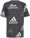 Mar&scaron;kinėliai berniukams Adidas Bl Logo HP0819, pilki