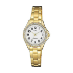 Q&Q Analoginis laikrodis C223J004