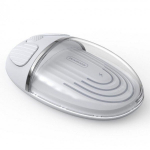 Dux Ducis belaidė pelė