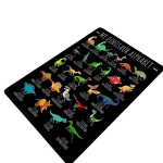 Dinozaurų abėcėlės kilimas,  120 cm x 160 cm / 47,24 colio x 63 colio