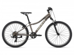 Kalnų dviratis Giant XTC Jr 24" Metal